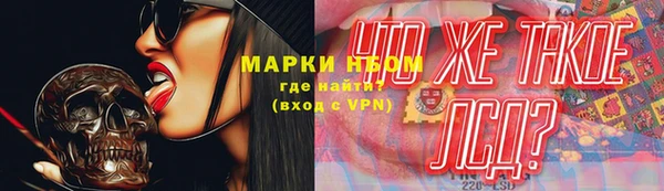 дмт Алзамай